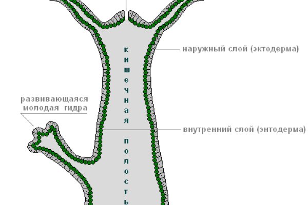 Ссылки на кракен маркетплейс тг