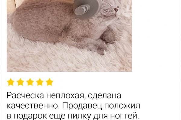 Кракен сайт закладок