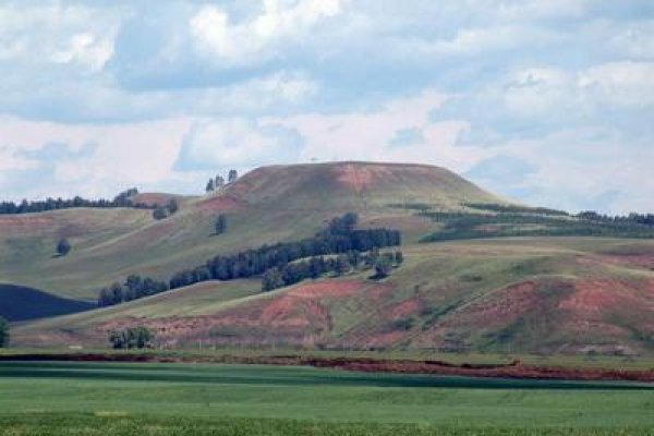 Кракен са