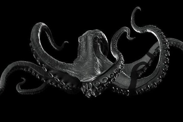 Kraken ссылка kraken clear com